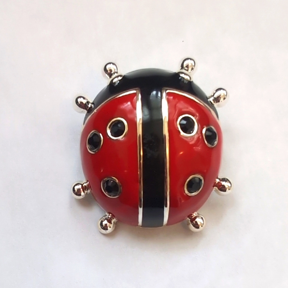 Vintage Best Ladybug Brooch in Red and Black